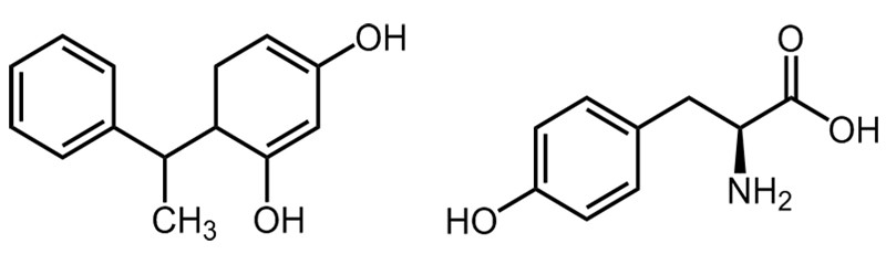 Molecular formula 2 Molecular formula 2