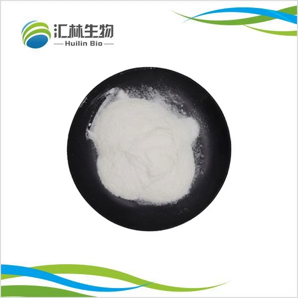 Poudre d'andrographolide
