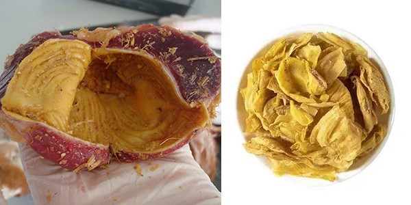 1 Gizzard and Chicken Gizzard Membrane 1 Gizzard and Chicken Gizzard Membrane