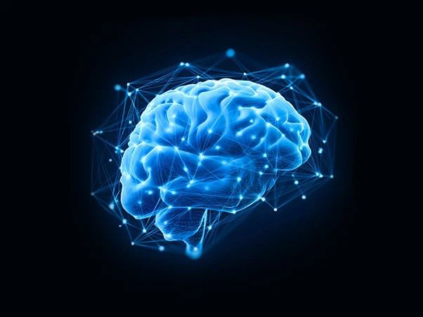 Applications Of Conotoxins Applications Of Conotoxins